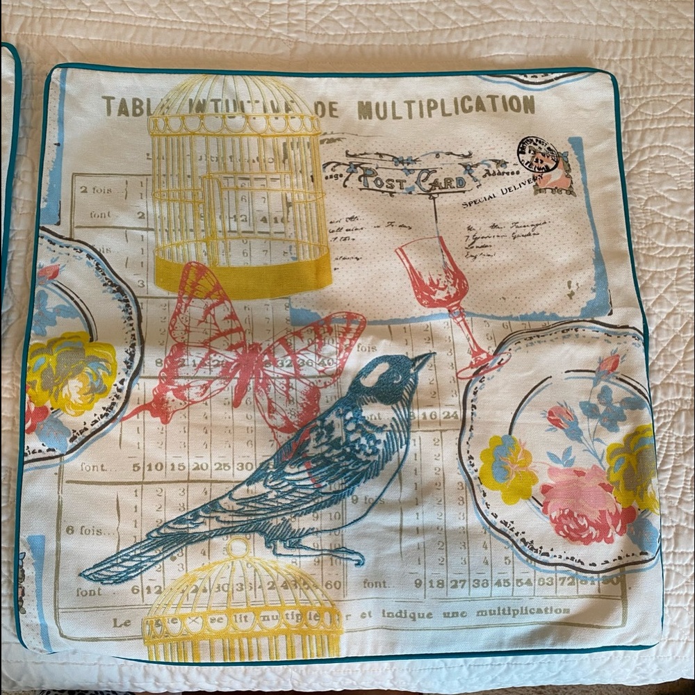 18” x 18” (set of 2) Beautiful Pillow Covers